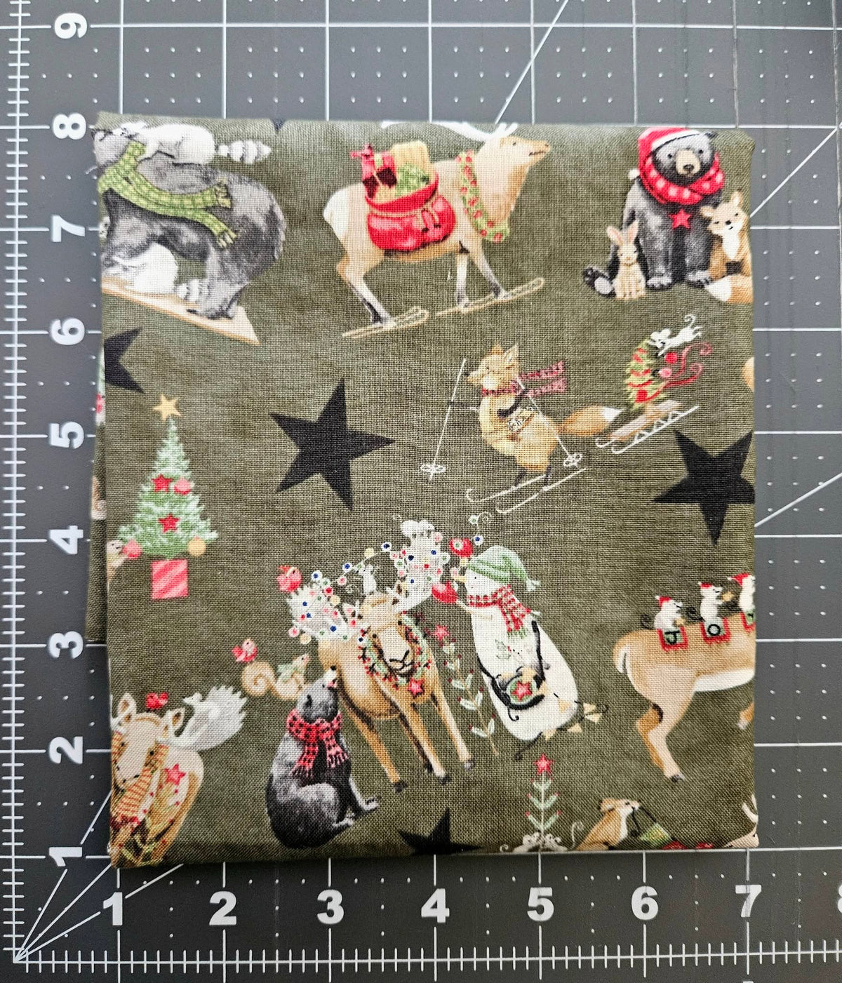 Riley Blake Northern Christmas Theresa Kogut 8 Piece Fat Quarter Fabric Bundle