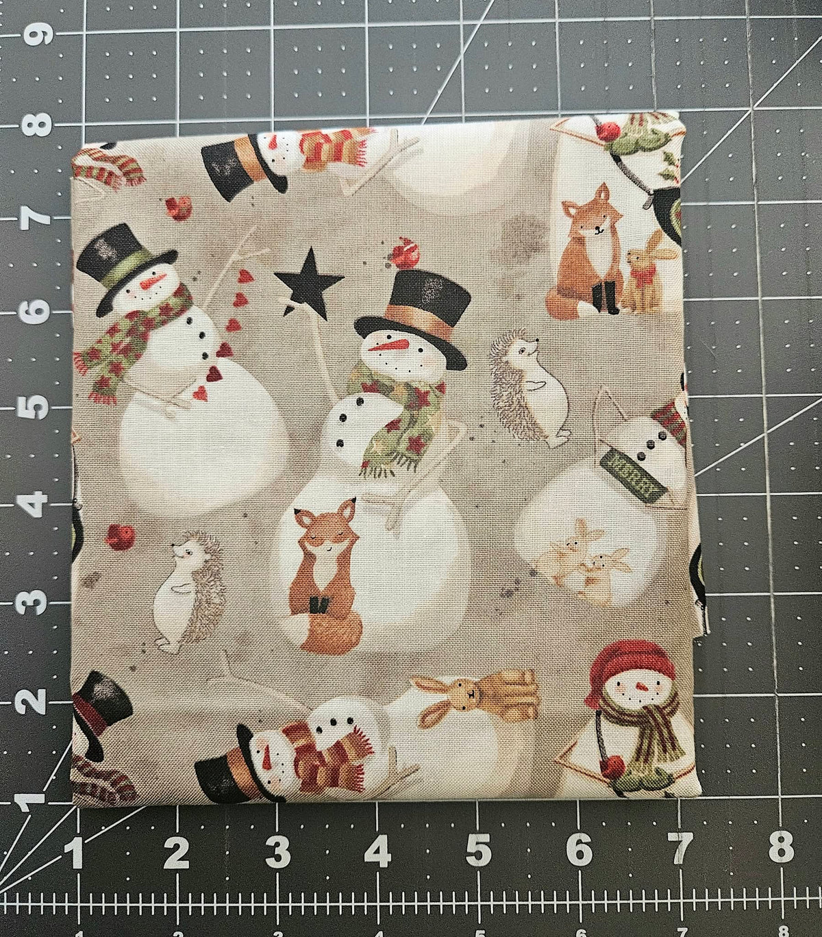 Riley Blake Northern Christmas Theresa Kogut 8 Piece Fat Quarter Fabric Bundle