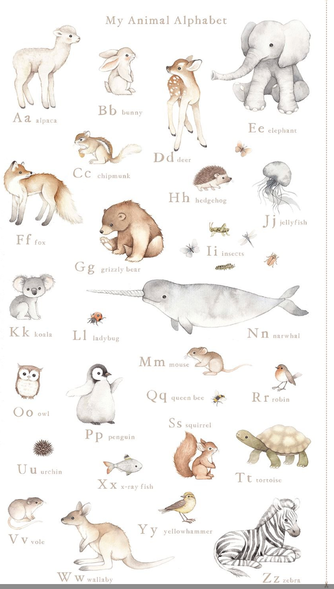 Animal Alphabet Fabric Panel - Nina Stajner ABCs of Love