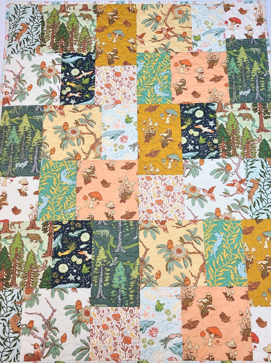 Organic Baby Quilt, Wild Coast, Nautical, Mushrooms, Lap, Floral, Whales, Boy, Girl, Crib, Nursery, Heirloom Quality