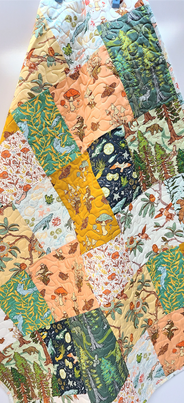 Organic Baby Quilt, Wild Coast, Nautical, Mushrooms, Lap, Floral, Whales, Boy, Girl, Crib, Nursery, Heirloom Quality